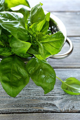 leaves of fresh green basil