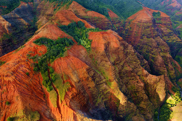 Stunning view into Waimea Canyon