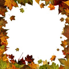 Naklejka na ściany i meble autumn leaves square frame border isolated on white