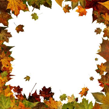 autumn leaves square frame border isolated on white