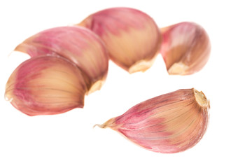 Side view of cloves of garlic over white, focus on front