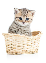 Fototapeta na wymiar Beautiful gray kitten in basket isolated on white