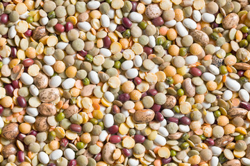 mixture of legumes