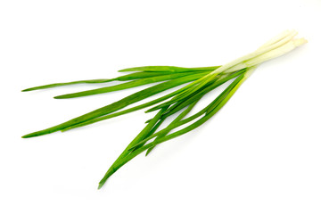 Fototapeta premium Green Onion