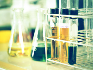 test tubes in rack
