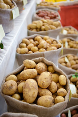 Harvest raw potatoes in burlap sack in market