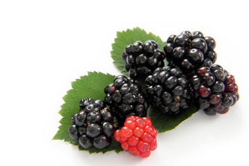 blackberry