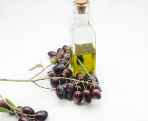 Aceite de oliva rodeado de aceitunas recien cosechadas