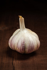 Garlic