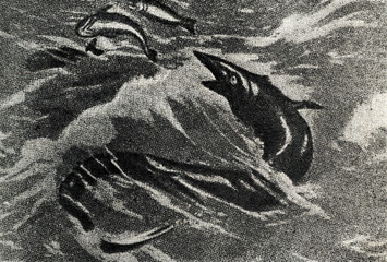 Fototapeta premium Tylosaurus proriger by Charles R. Knight, 1899