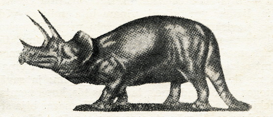 Triceratops © Juulijs