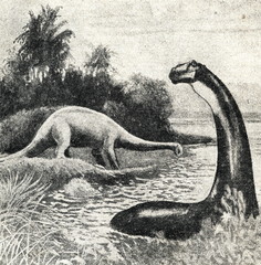 Restoration of Apatosaurus excelsus by Charles R. Knight, 1897 © Juulijs
