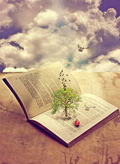 Tree of knowledge in opened book, photo manipulation