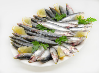 Sardinas frescas