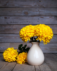 Flowers. Beautiful yellow chrysanthemum in a vase