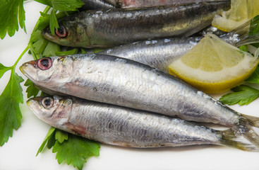 Sardinas frescas