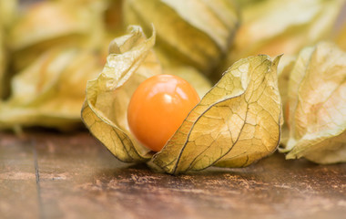 Physalis Frucht auf Rustikalem Untergrund