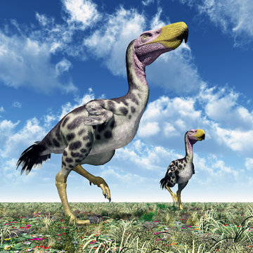 Terror Bird Kelenken