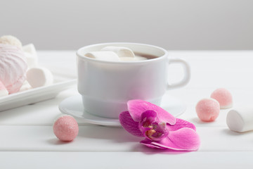 cup with dessert on white table