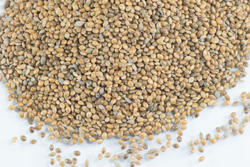 Hemp Seeds