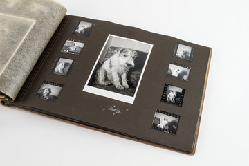 Altes Fotoalbum geöffnet von oben mit Hundebilder
