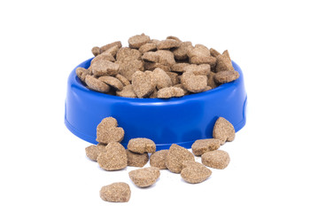 собачья  миска.