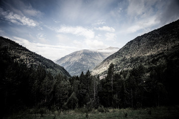 Forested valleys between the mountains. andorra