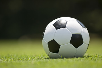 Obraz premium Soccer Ball On Green Grass