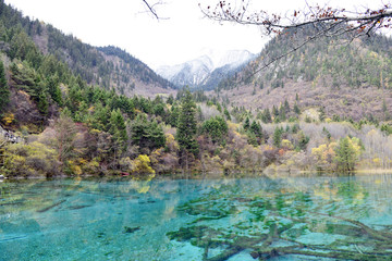 Five Flower Lake, Jiuzhaigou Valley
