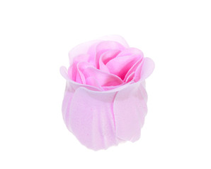 Роза розовая