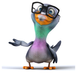 Fun pigeon