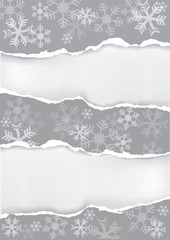 Grey christmas ripped paper background