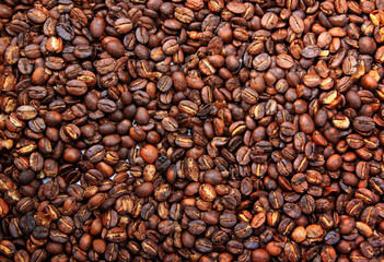 Coffee Beans