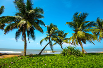 Fototapeta premium Sri Lanka