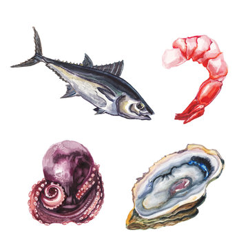 watercolor  sea delicacies set