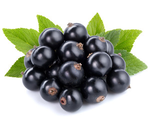 currant