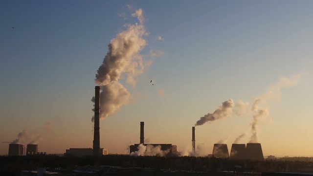 Birds flying in the background of smoking chimneys power plant