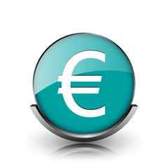 Euro icon