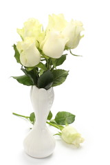 Bouquet of white roses in vase on white background