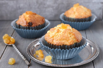 Muffins with raisins in blue wrappers on rustic wood background