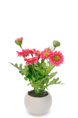 Red flowers in white flower pot, artificially