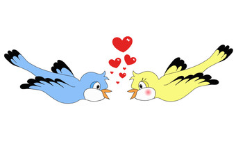 birds in love
