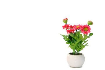 Red flowers in white flower pot, artificially