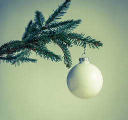 Christmas tree branch isolated
