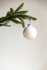 Christmas tree branch isolated