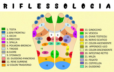 Foot reflexology chart