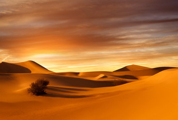 sunset dunes - obrazy, fototapety, plakaty