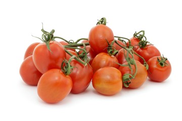 pomidor