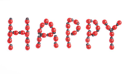 wort happy mit marienkäfern geschrieben