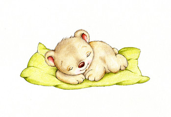 Sleeping Teddy bear - 74105159